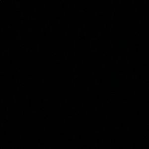 Meet your Posher, Jaden